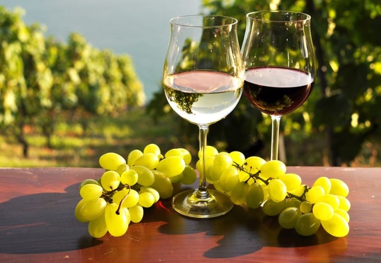Israeli Wine Tasting Event picture